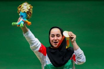 جوانمردی نخستین طلای پاراتیراندازی ایران را دشت کرد