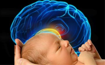 مغز نوزاد خود را قربانی آرامش نکنید