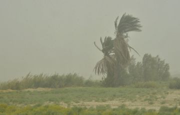 وزش باد شدید در جنوب شرق کشور