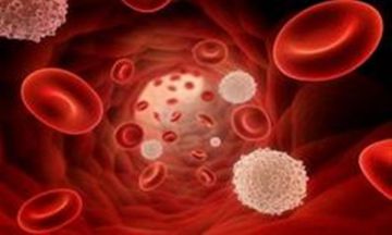 تلاش محققان ایرانی برای دستیابی به درمان سرطان خون و لنفوم