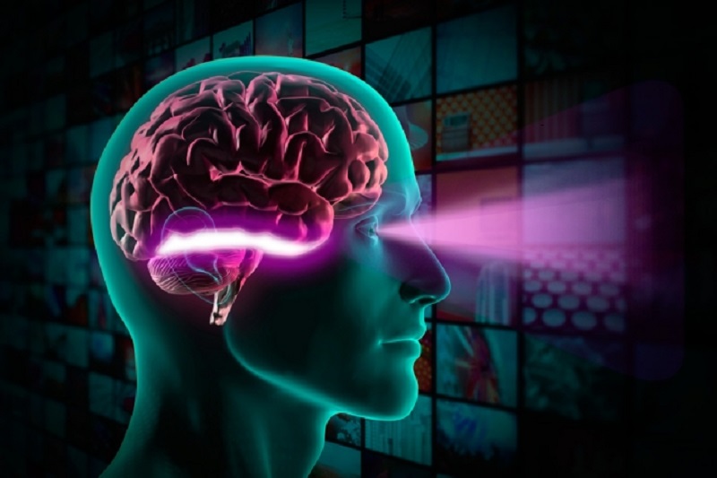 تدوین نقشه نحوه پردازش اطلاعات بصری بین شبکیه و مغز