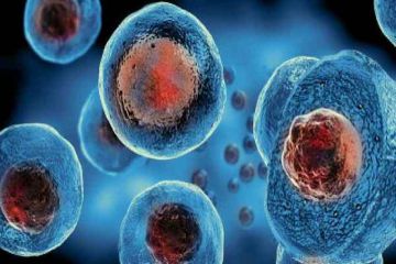 تولید سلول های تیروئیدی با استفاده از سلول های بنیادی