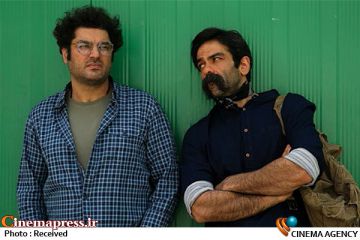 اثری سینمایی از برای نقد روشنفکران پالتو شتری